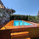 Traulivi *