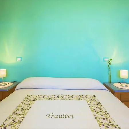 Vakantiehuis Traulivi *