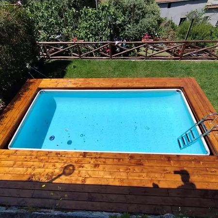 Traulivi